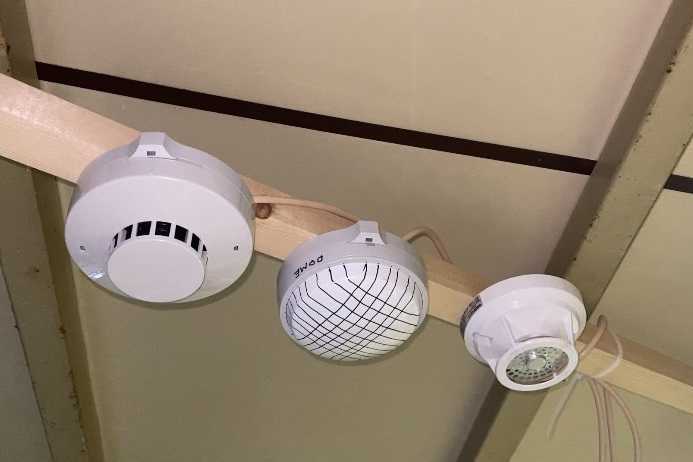 感知器
